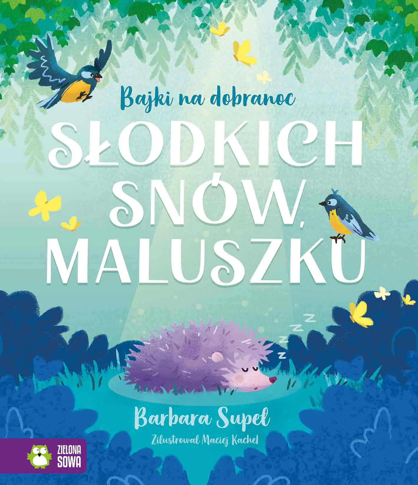 Książka - Słodkich snów, maluszku. Bajki na dobranoc