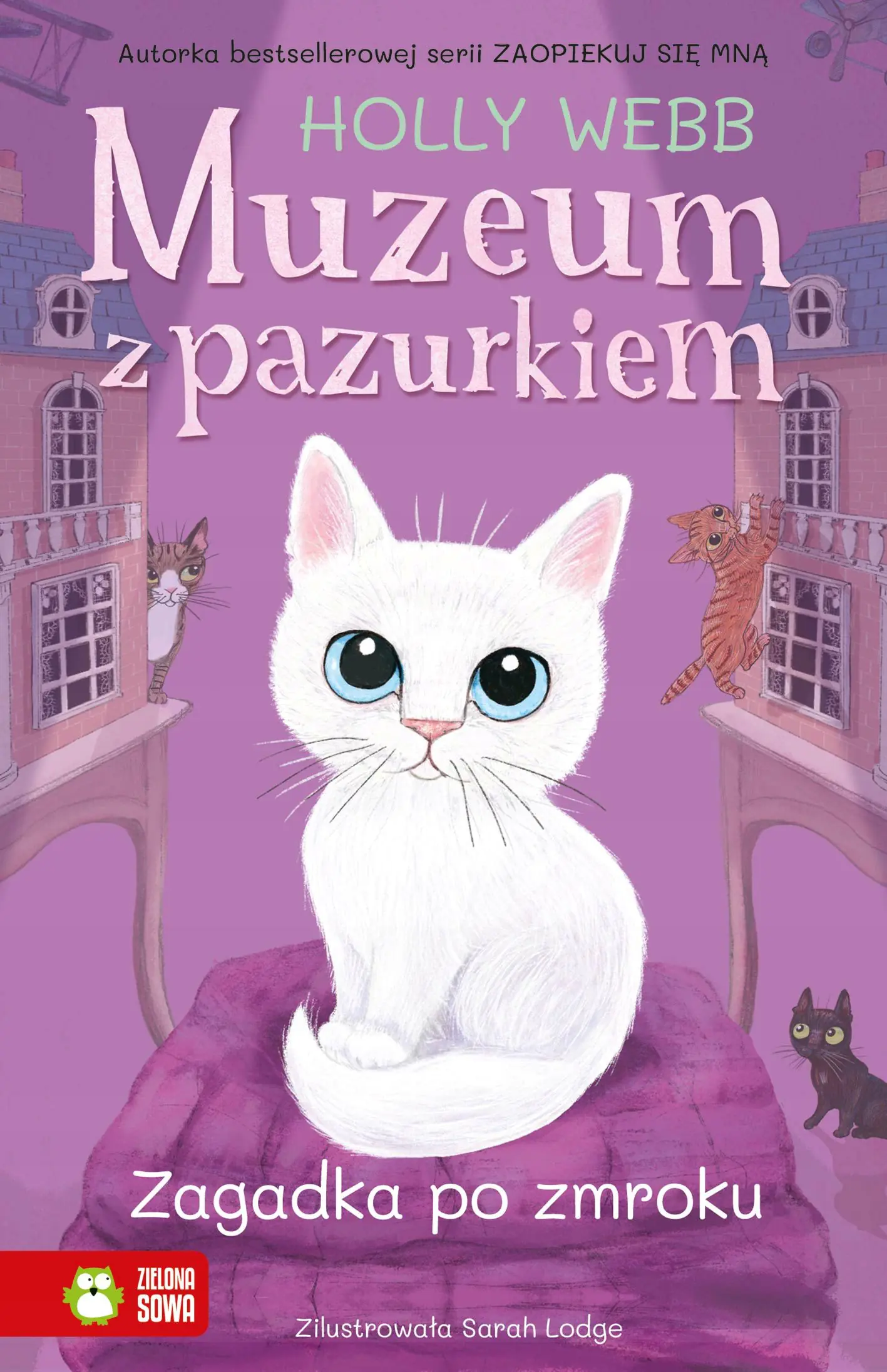 Książka - Zagadka po zmroku. Muzeum z pazurkiem