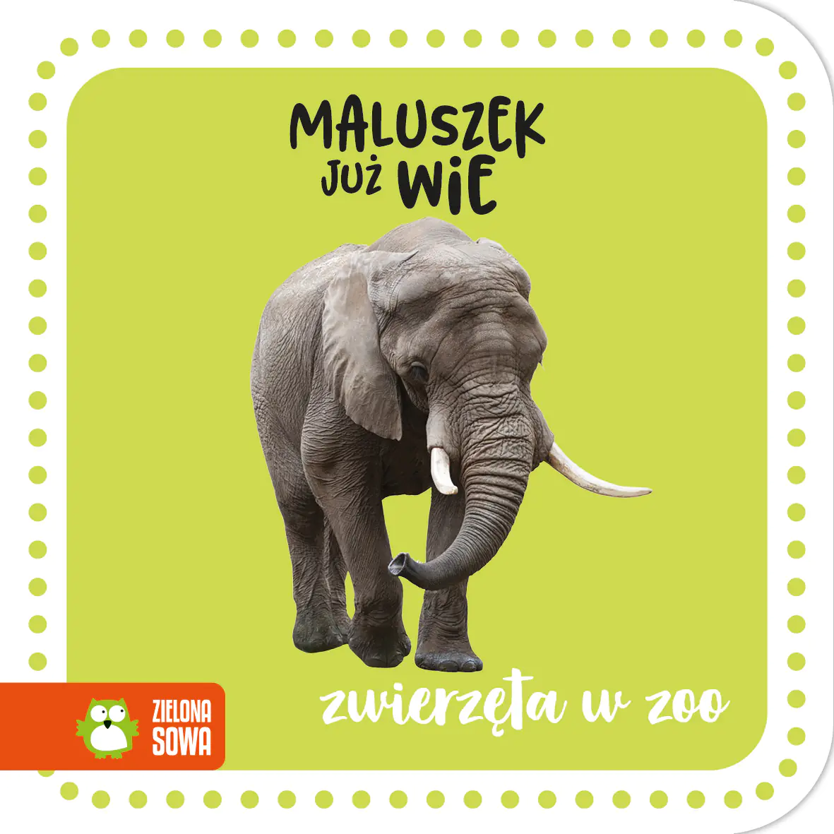 Książka - Zwierzęta w zoo. Maluszek już wie