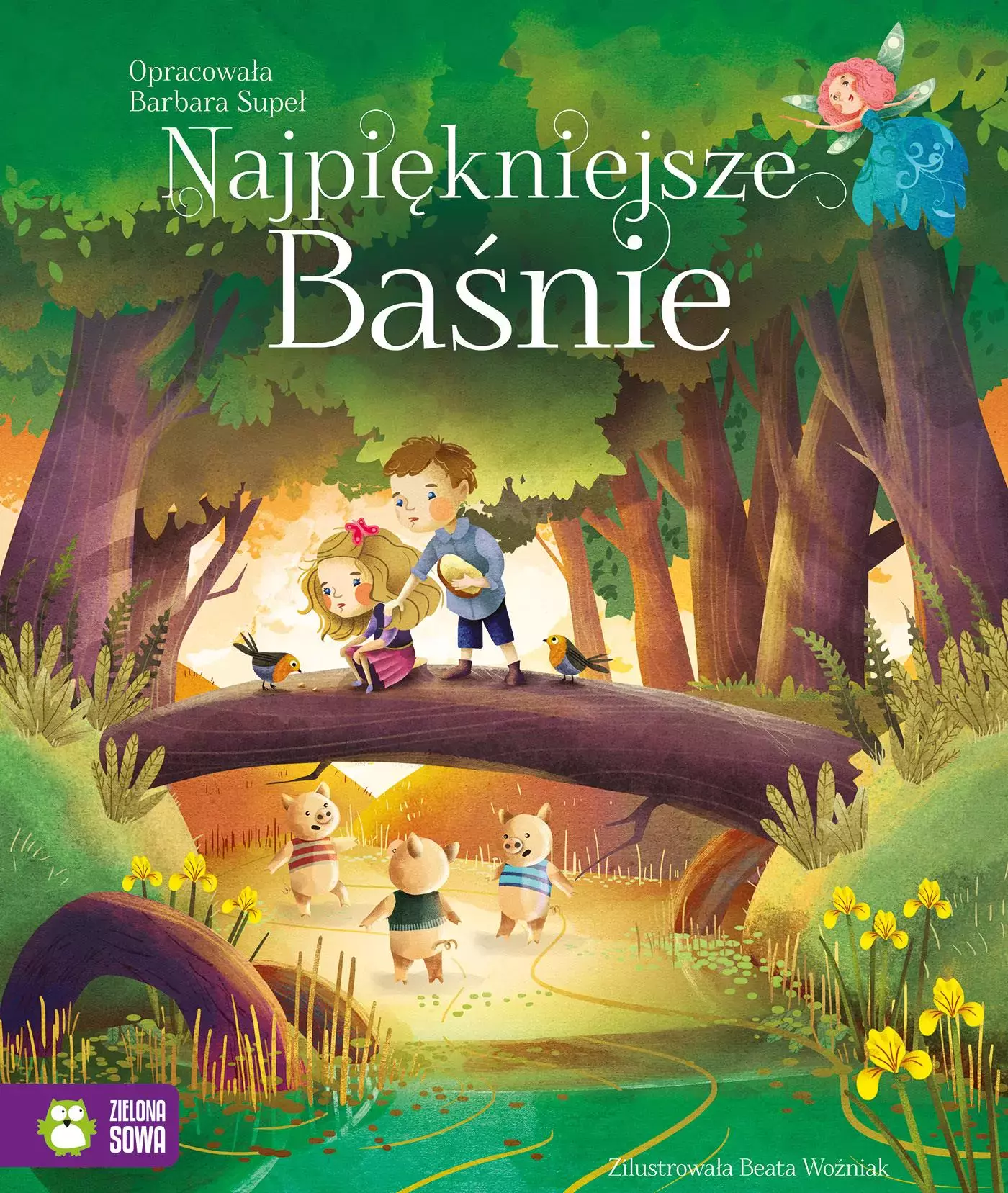 Książka - Najpiękniejsze baśnie