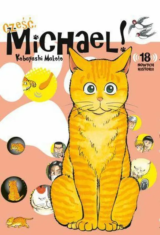 Książka - 18 nowych historii. Cześć Michael!