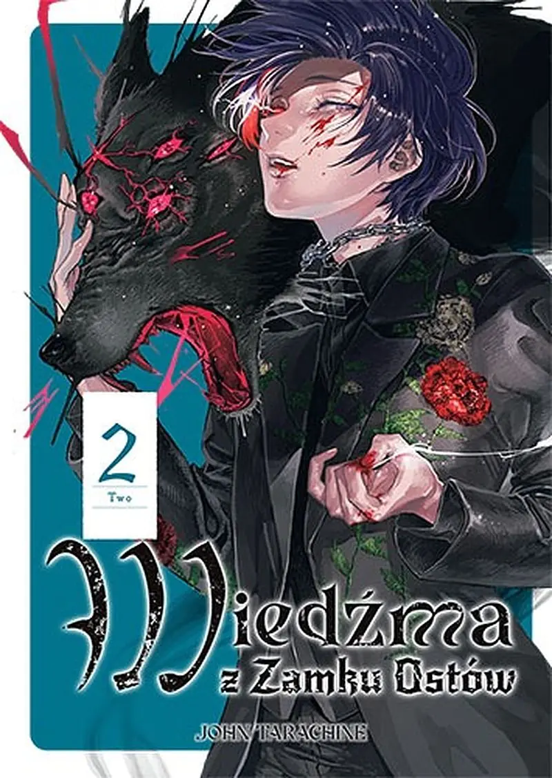 Książka - Wiedźma z Zamku Ostów. Tom 2