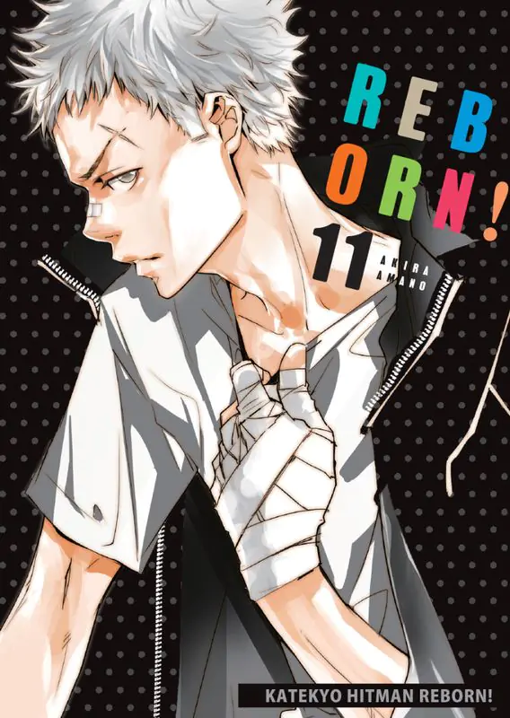Książka - Katekyo Hitman Reborn! Tom 11