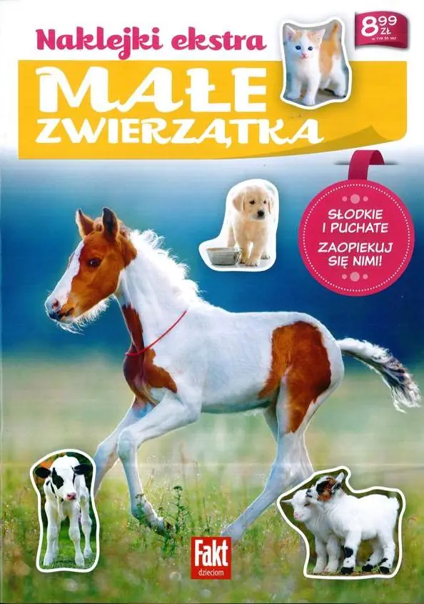 Książka - Małe zwierzątka