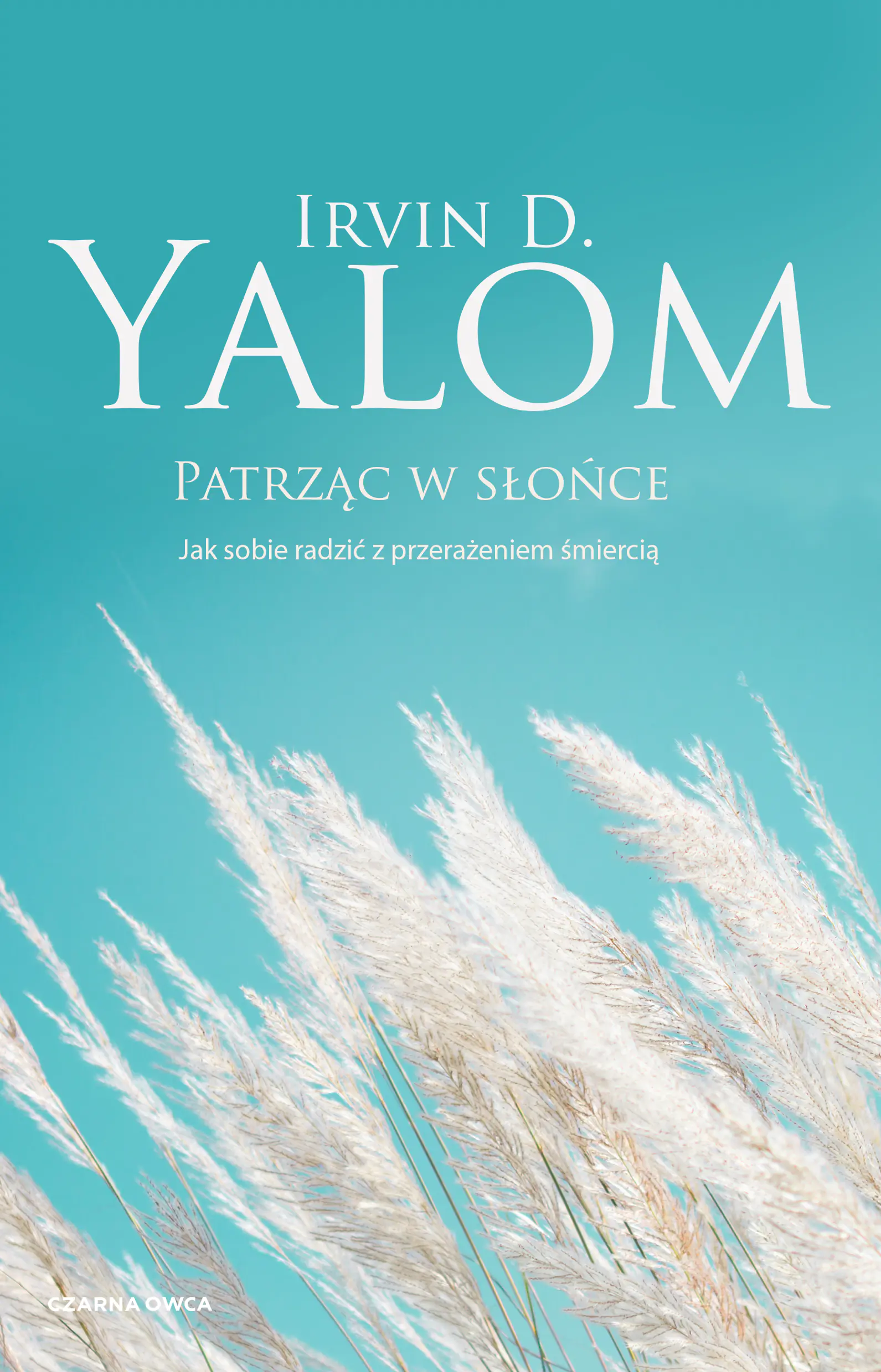 Książka - Patrząc w słońce