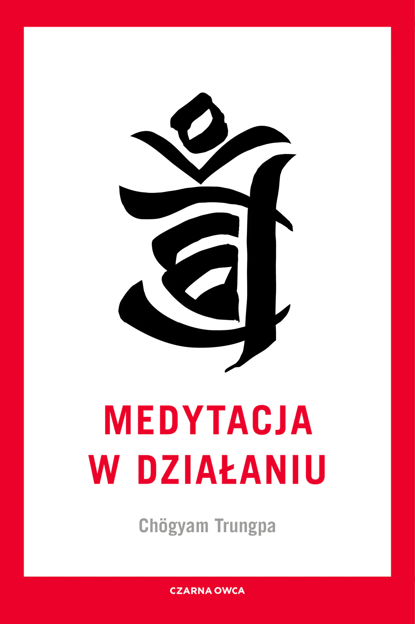 Książka - Medytacja w działaniu