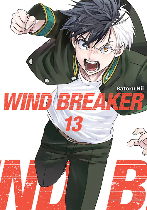 Książka - Wind Breaker. Tom 13