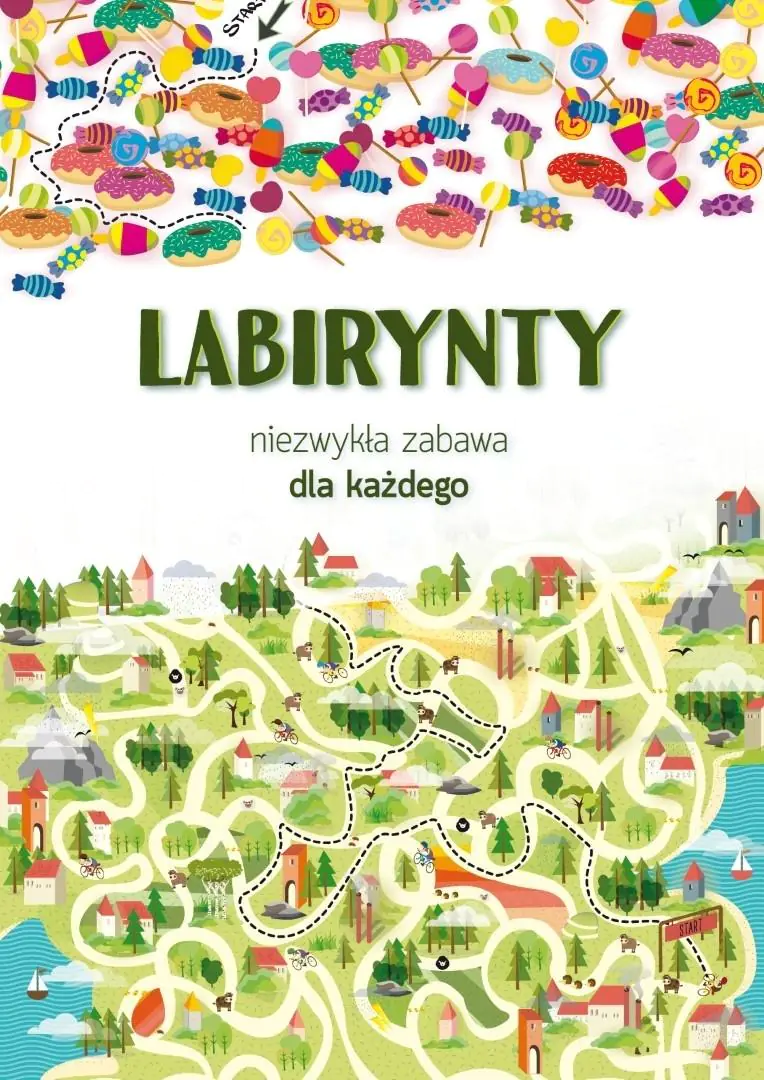 Książka - Labirynty. Niezwykła zabawa dla każdego