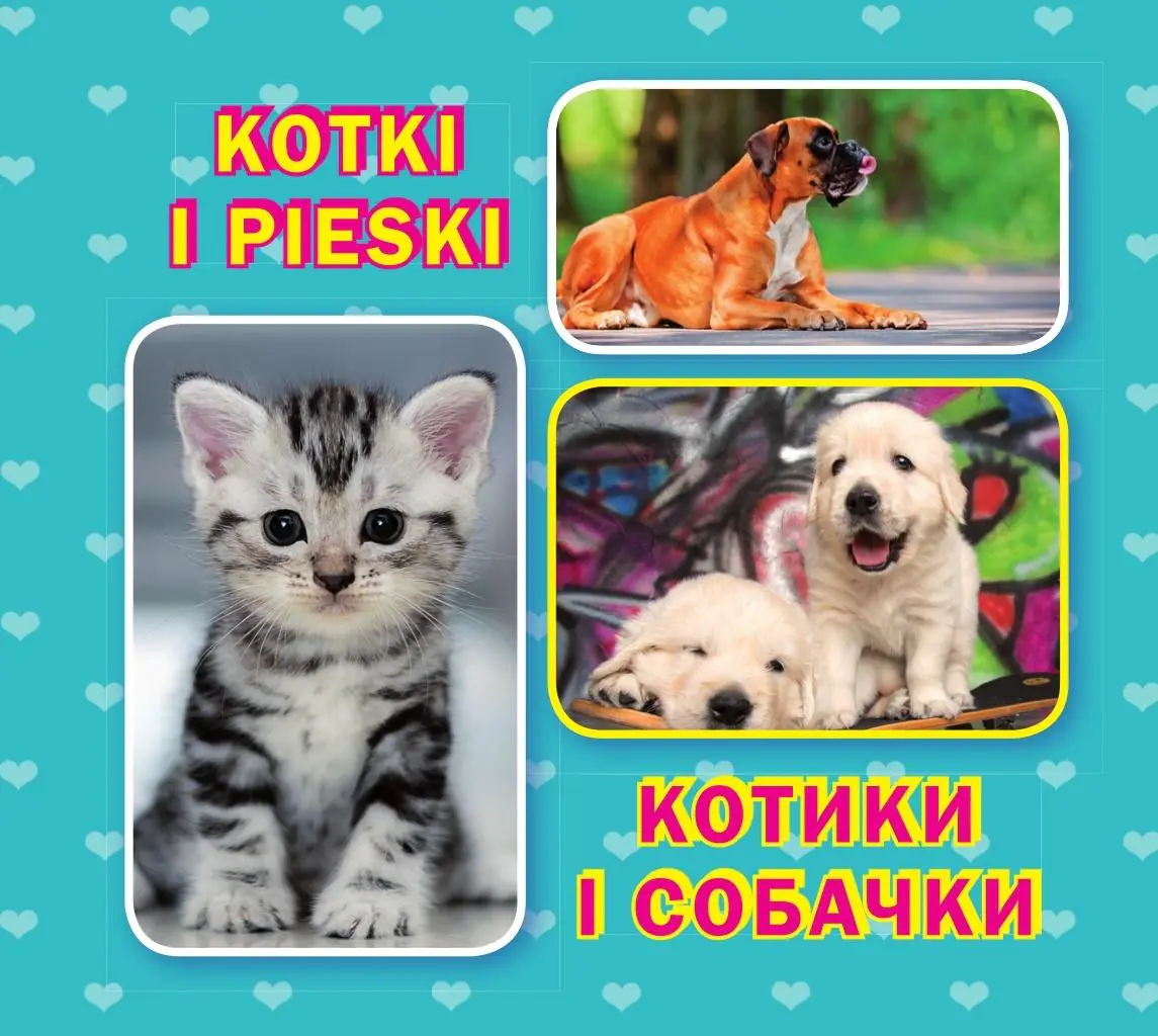 Książka - Kotki i pieski. Kotiki i sobachki