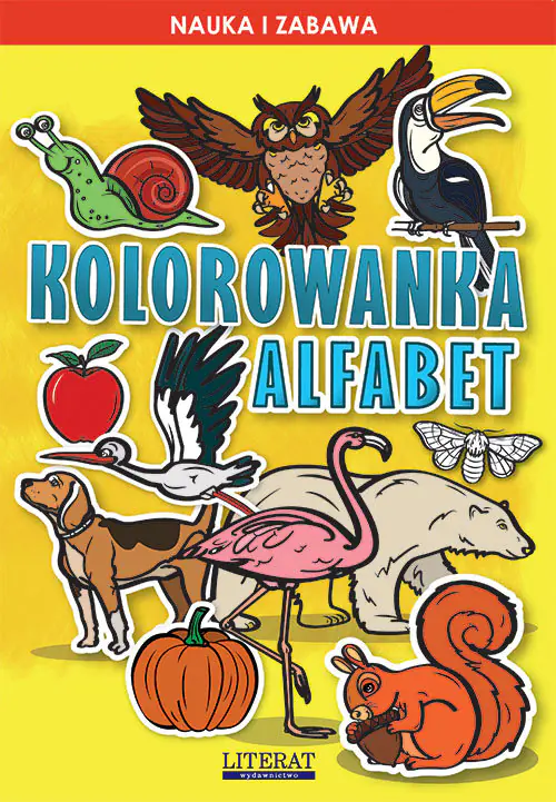 Książka - Kolorowanka Alfabet