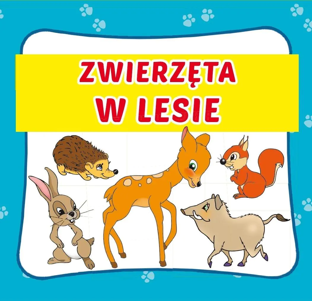 Książka - Zwierzęta w lesie