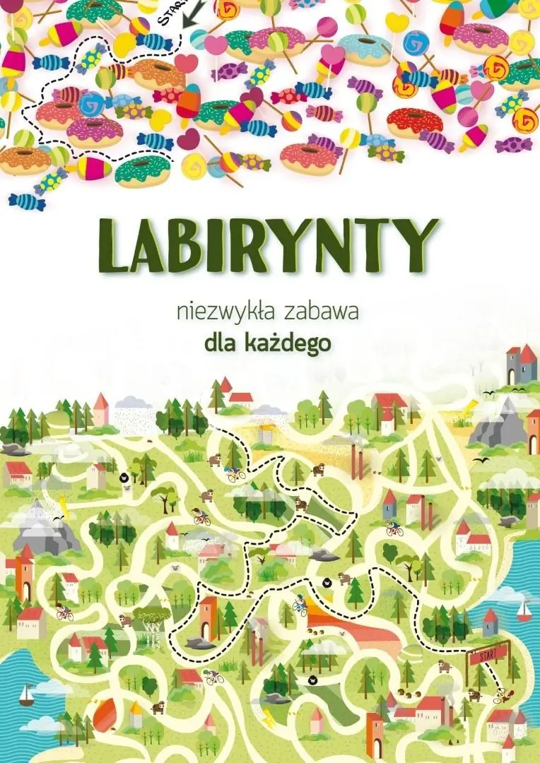 Książka - Labirynty. Niezwykła zabawa dla każdego