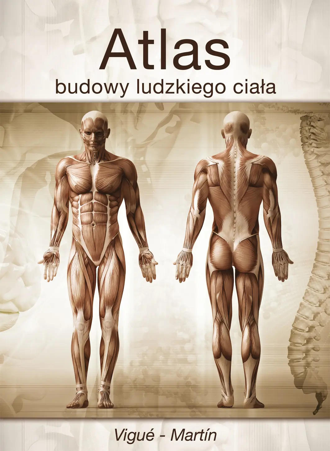 Książka - Atlas budowy ludzkiego ciała