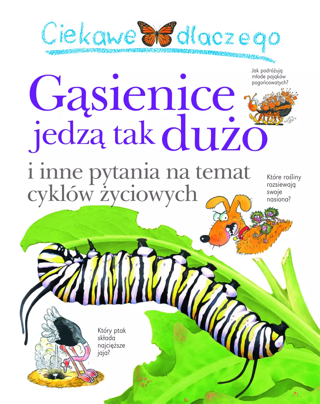 Książka - Ciekawe dlaczego gąsienice jedzą tak dużo