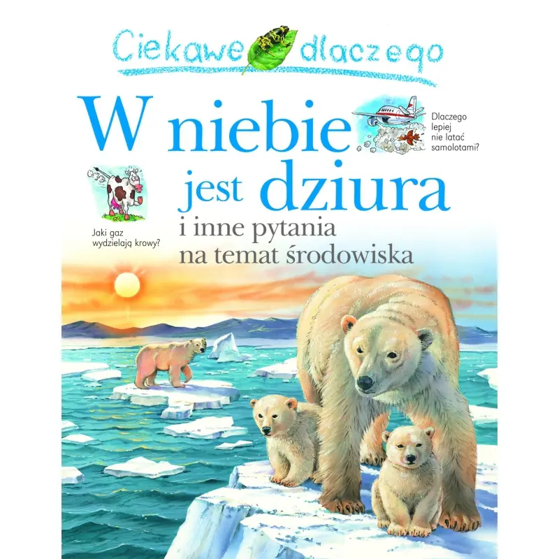 Książka - Ciekawe dlaczego w niebie jest dziura