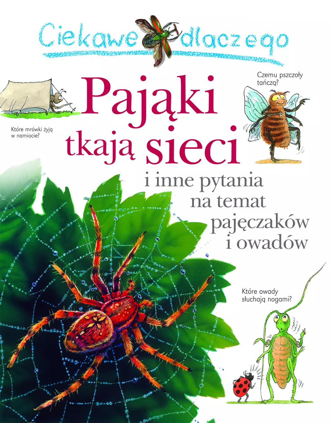 Książka - Ciekawe dlaczego pająki tkają sieci