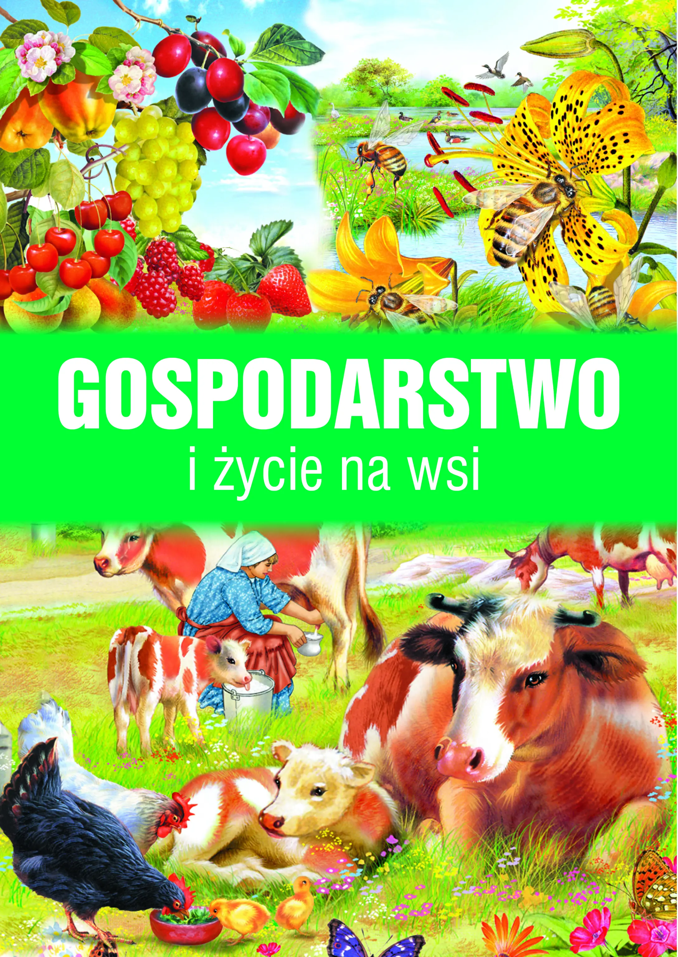 Książka - Gospodarstwo i życie na wsi