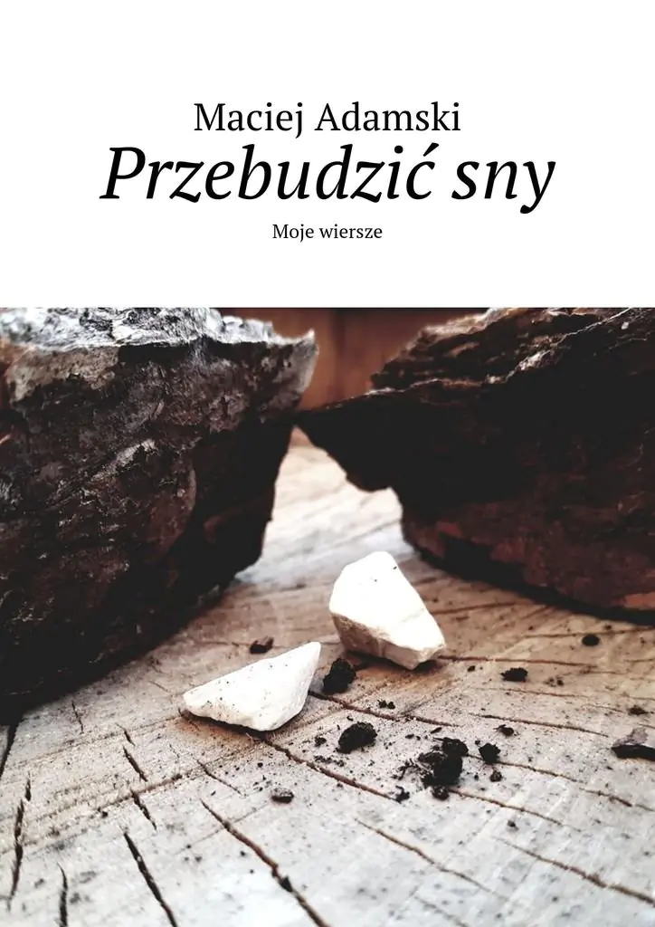 Książka - Przebudzić sny
