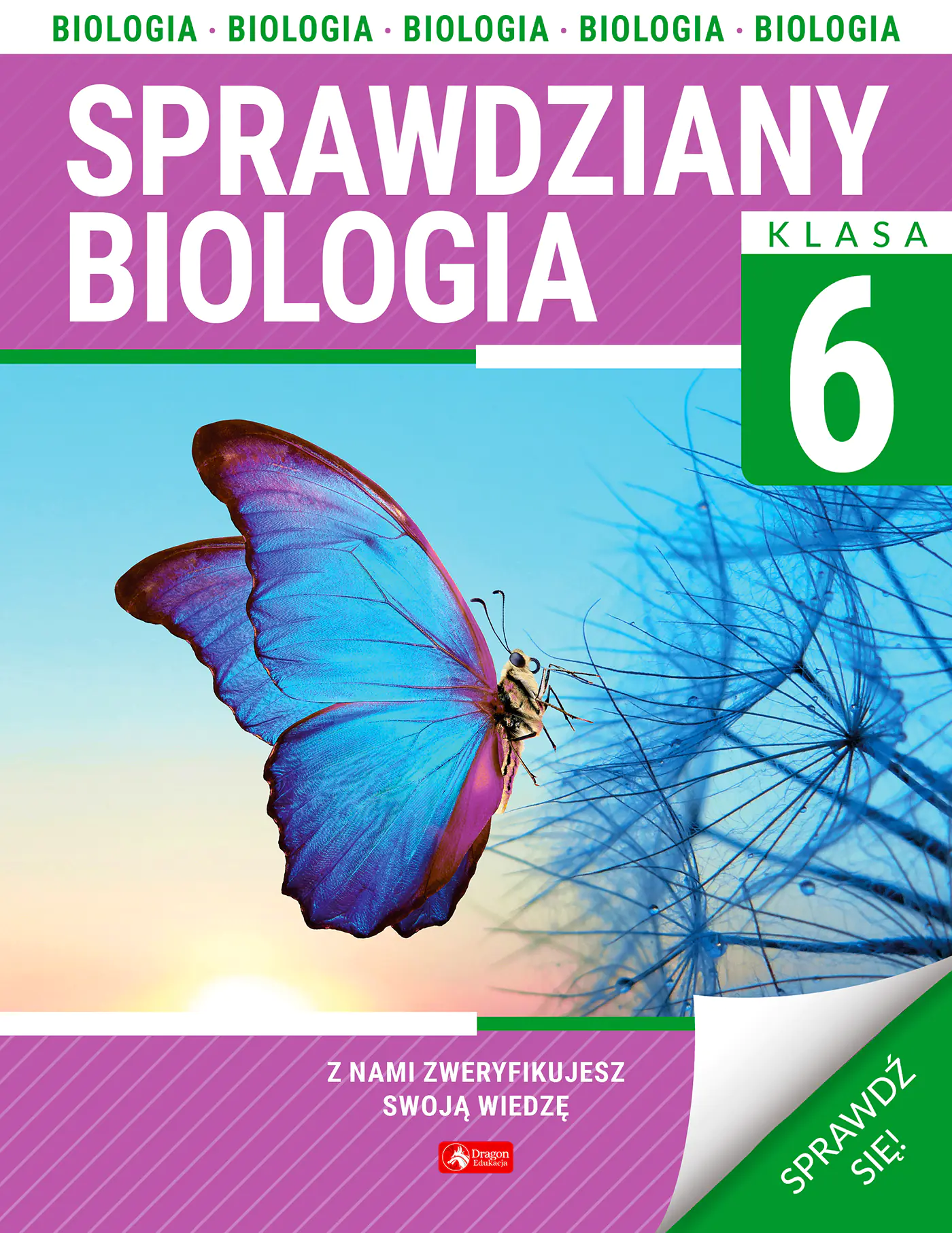 Książka - Biologia. Sprawdziany dla klasy 6