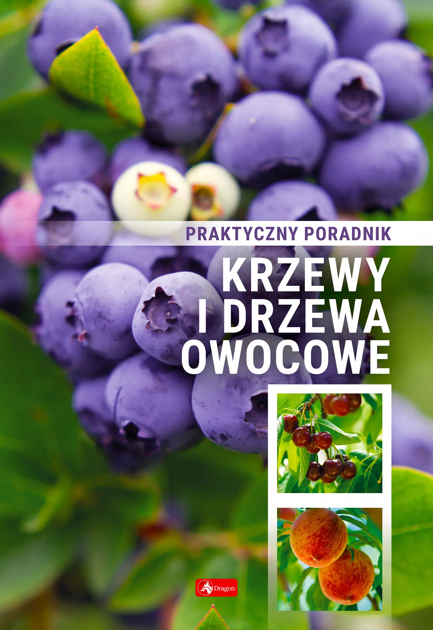 Książka - Krzewy i drzewa owocowe. Poradnik praktyczny