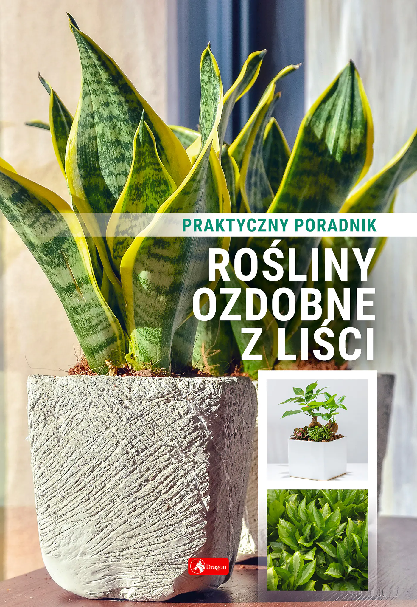 Książka - Rośliny ozdobne z liści. Poradnik praktyczny