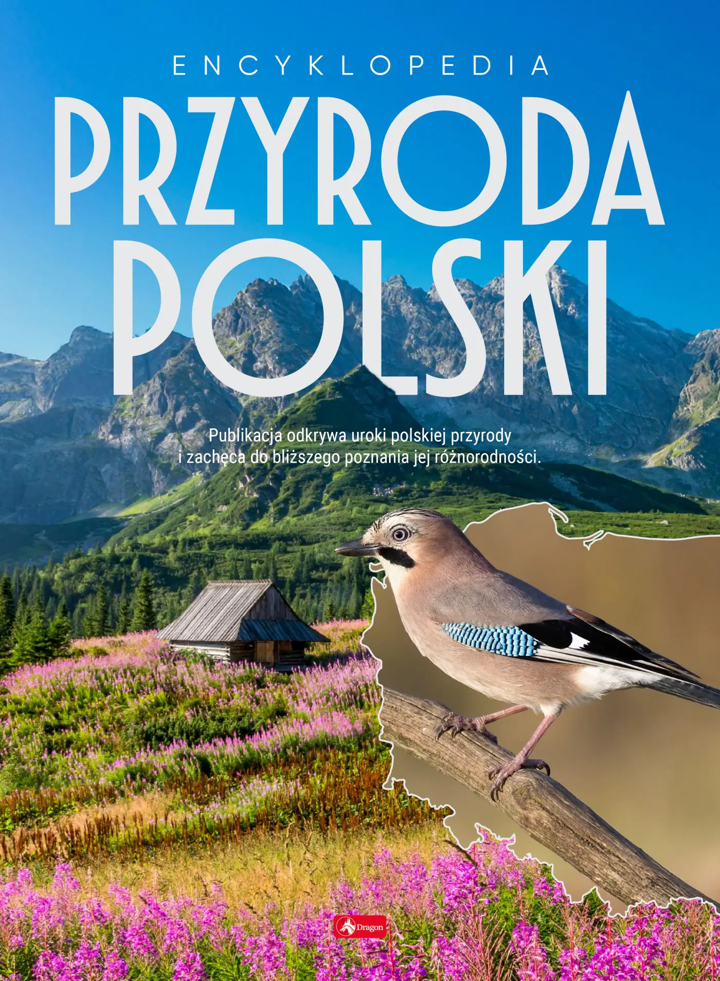 Książka - Encyklopedia Przyroda Polski