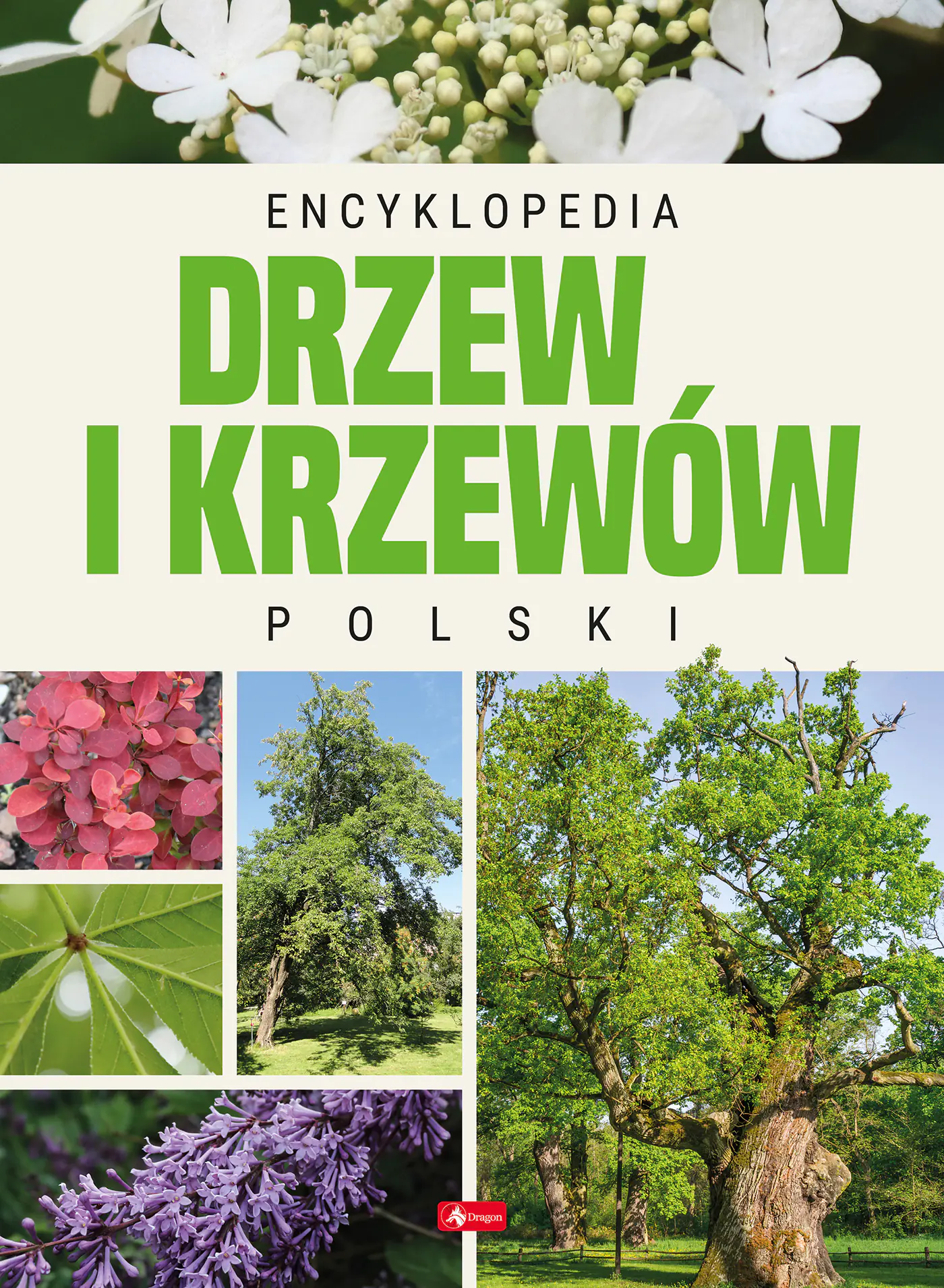 Książka - Encyklopedia drzew i krzewów Polski