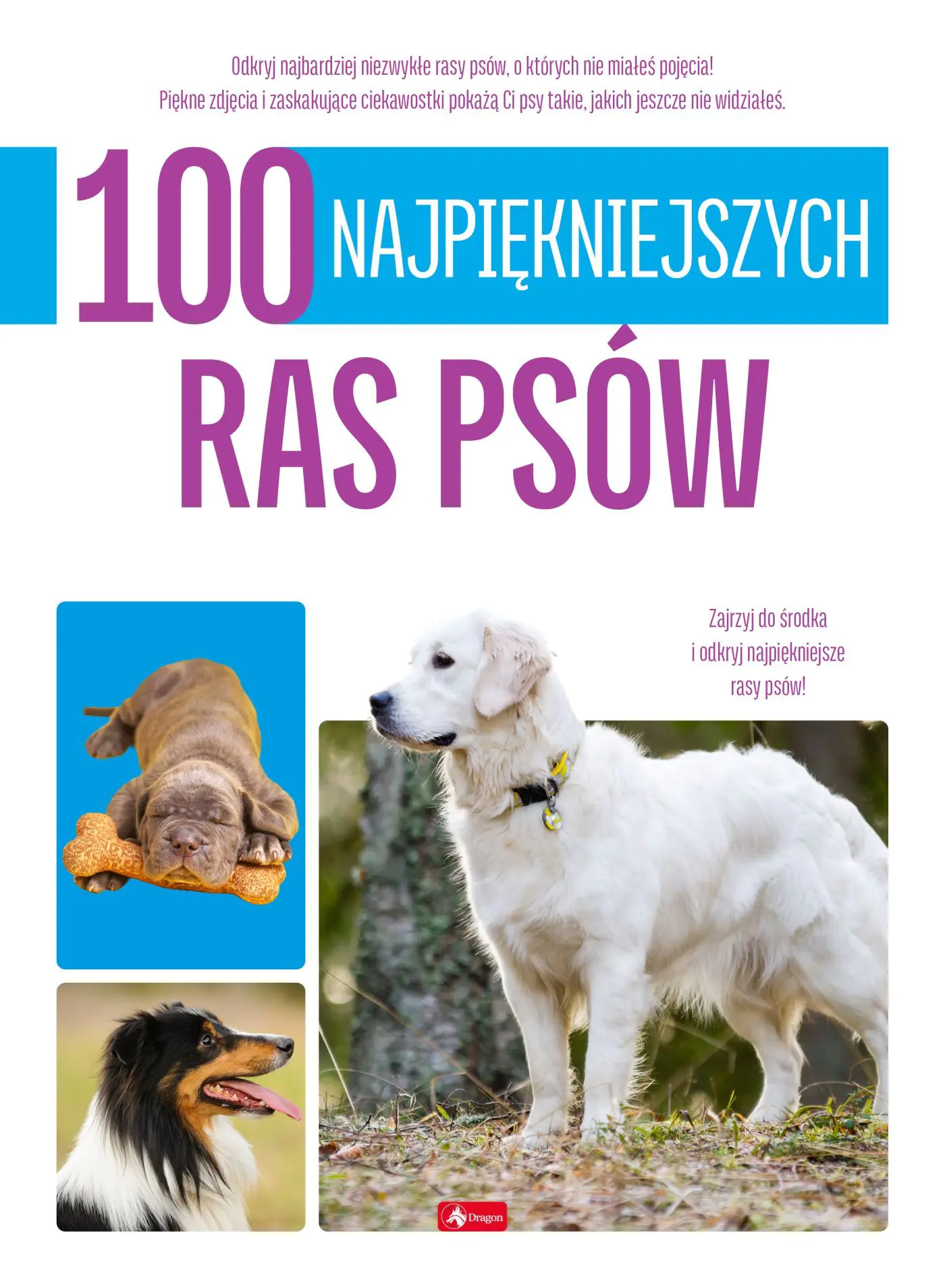 Książka - 100 najpiękniejszych ras psów