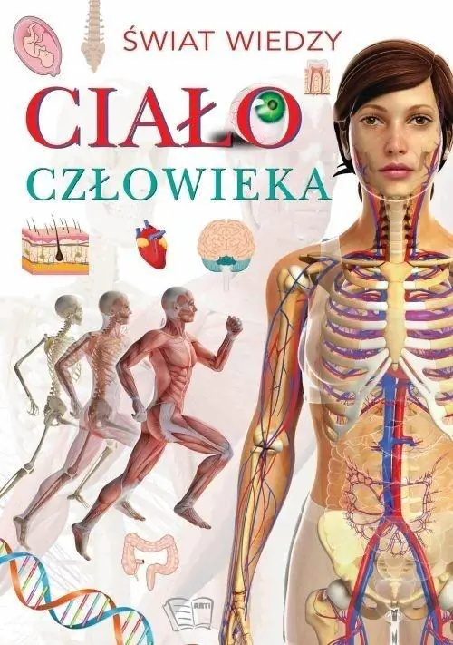 Książka - Ciało człowieka