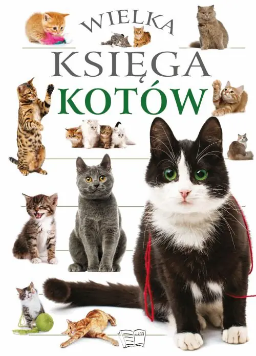 Książka - Wielka księga kotów