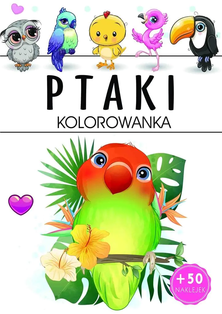 Książka - Ptaki. Kolorowanka