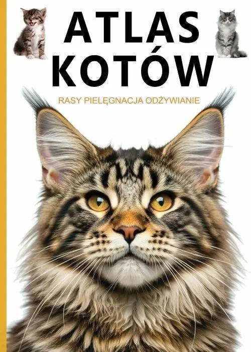 Książka - Atlas kotów