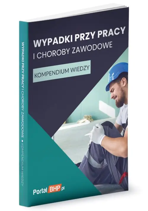 Książka - Wypadki przy pracy i choroby zawodowe