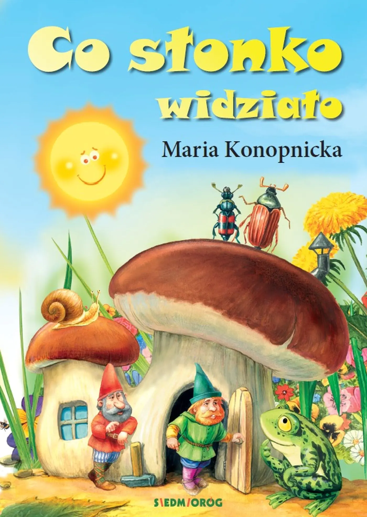 Książka - Co słonko widziało