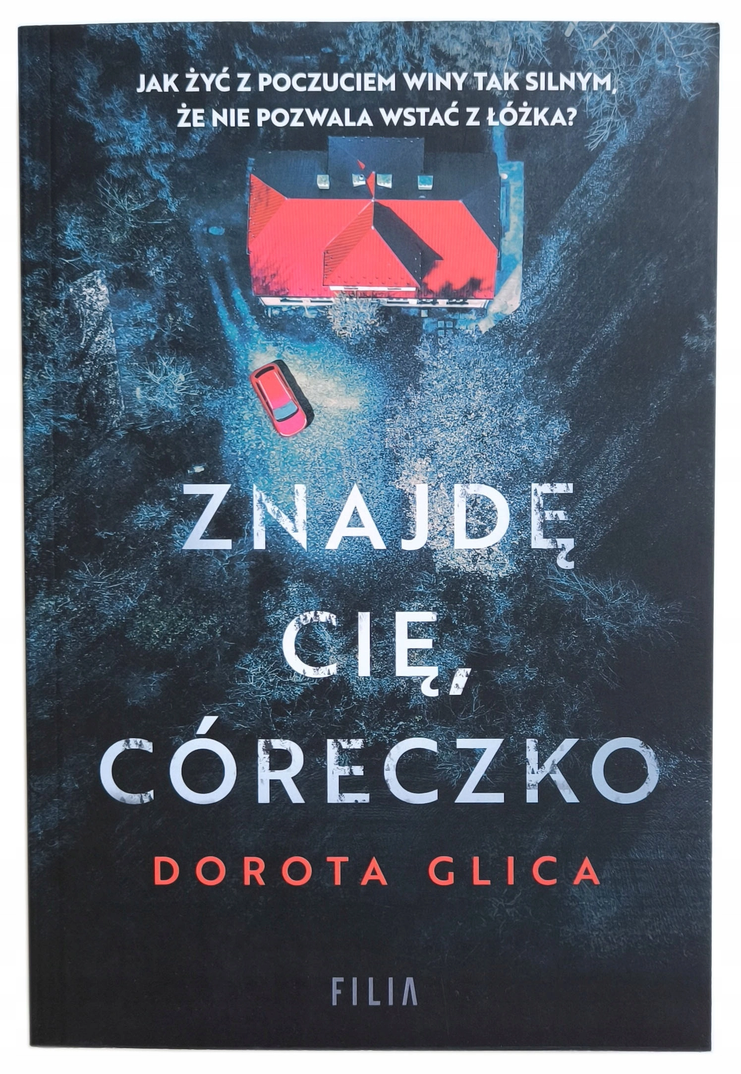 Książka - Znajdę cię, córeczko