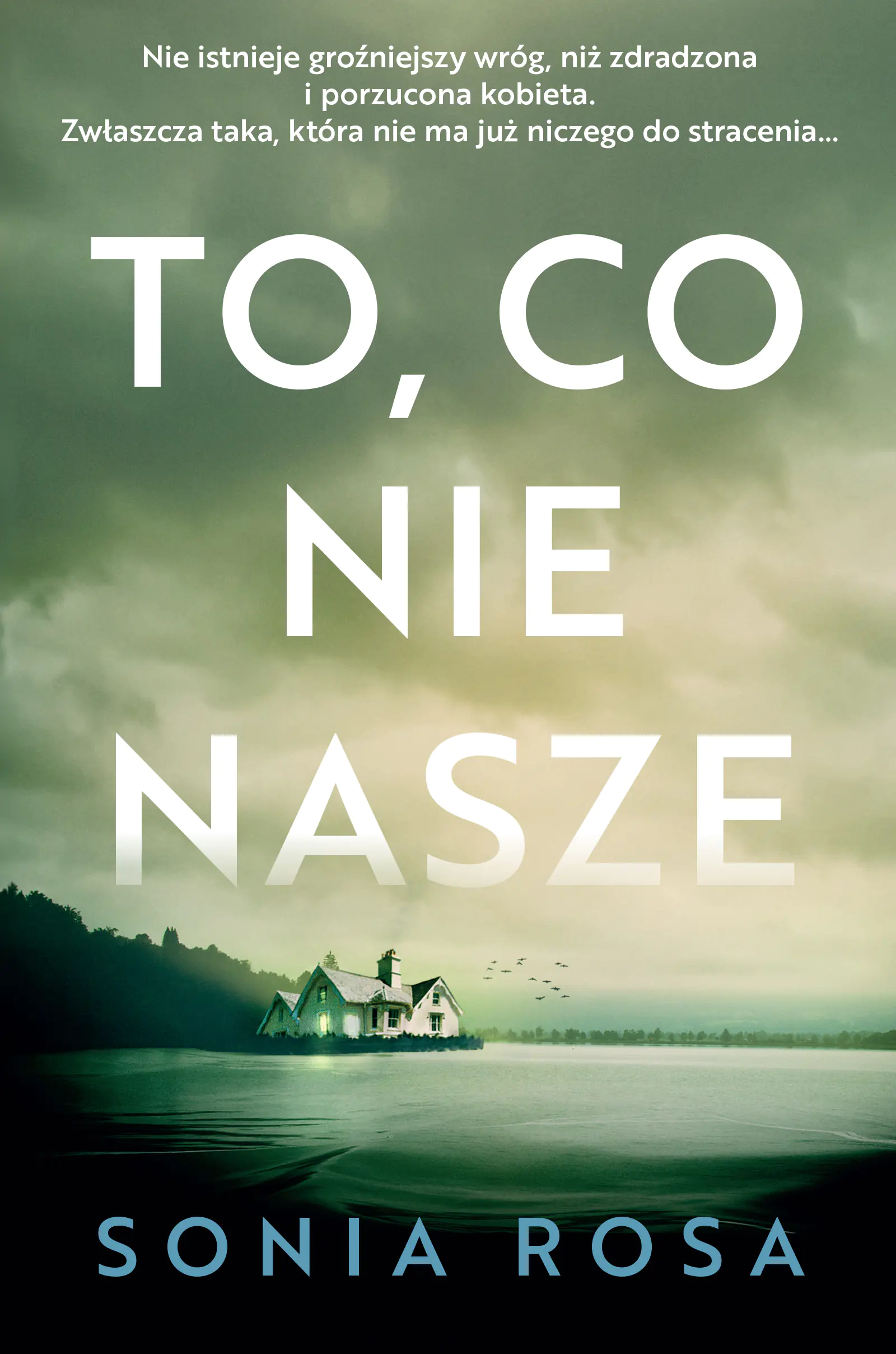 Książka - To, co nie nasze