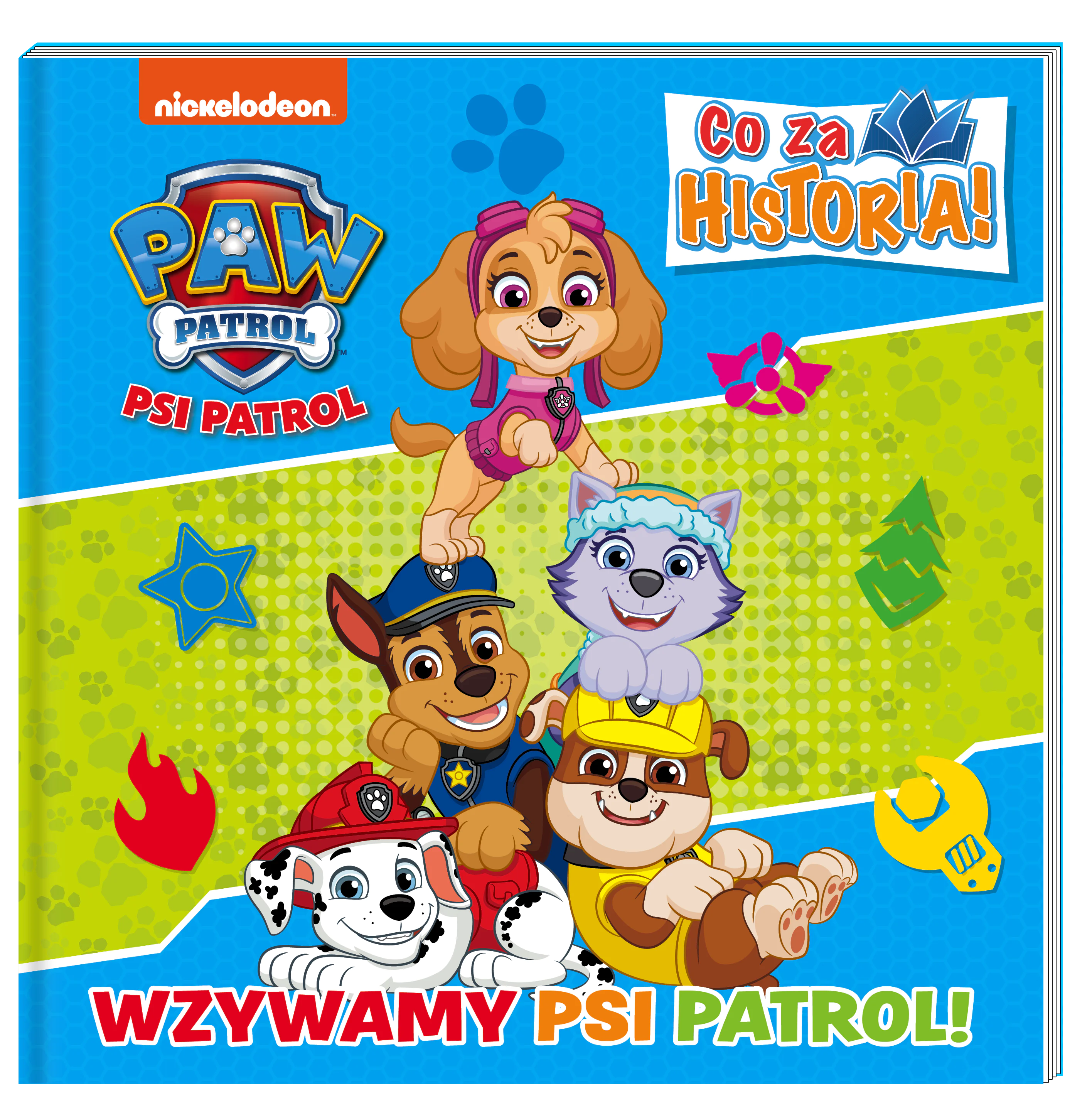 Książka - Wzywamy Psi Patrol. Co za historia