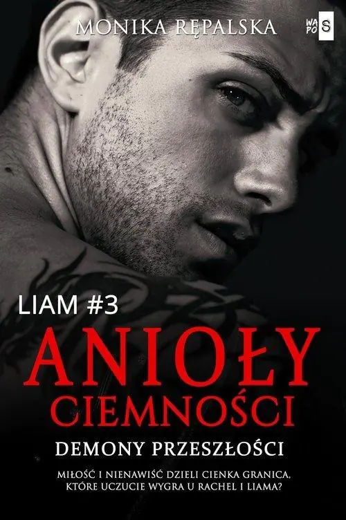 Książka - Anioły ciemności. Demony przeszłości. Liam. Tom 3