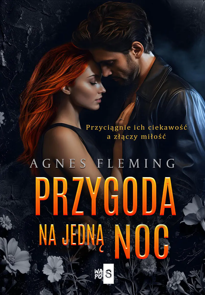 Książka - Przygoda na jedną noc