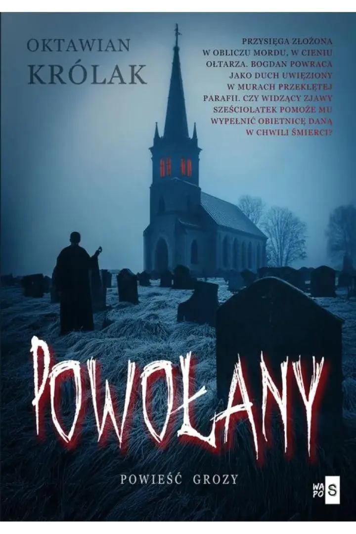 Książka - Powołany