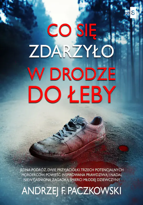 Książka - Co się zdarzyło w drodze do Łeby