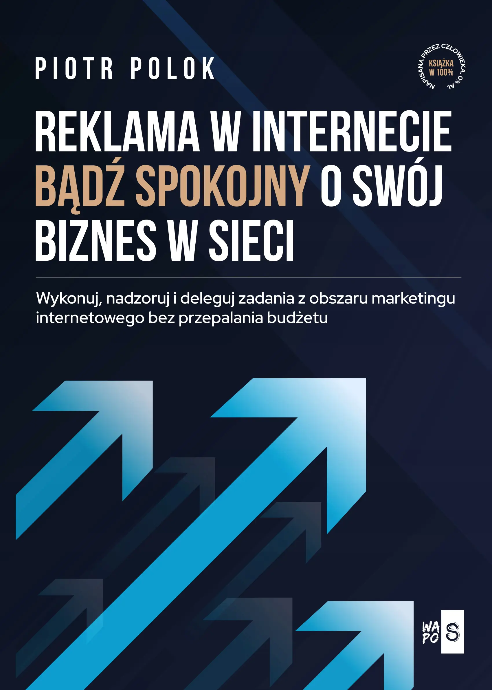 Książka - Reklama w Internecie. Bądź spokojny o swój...