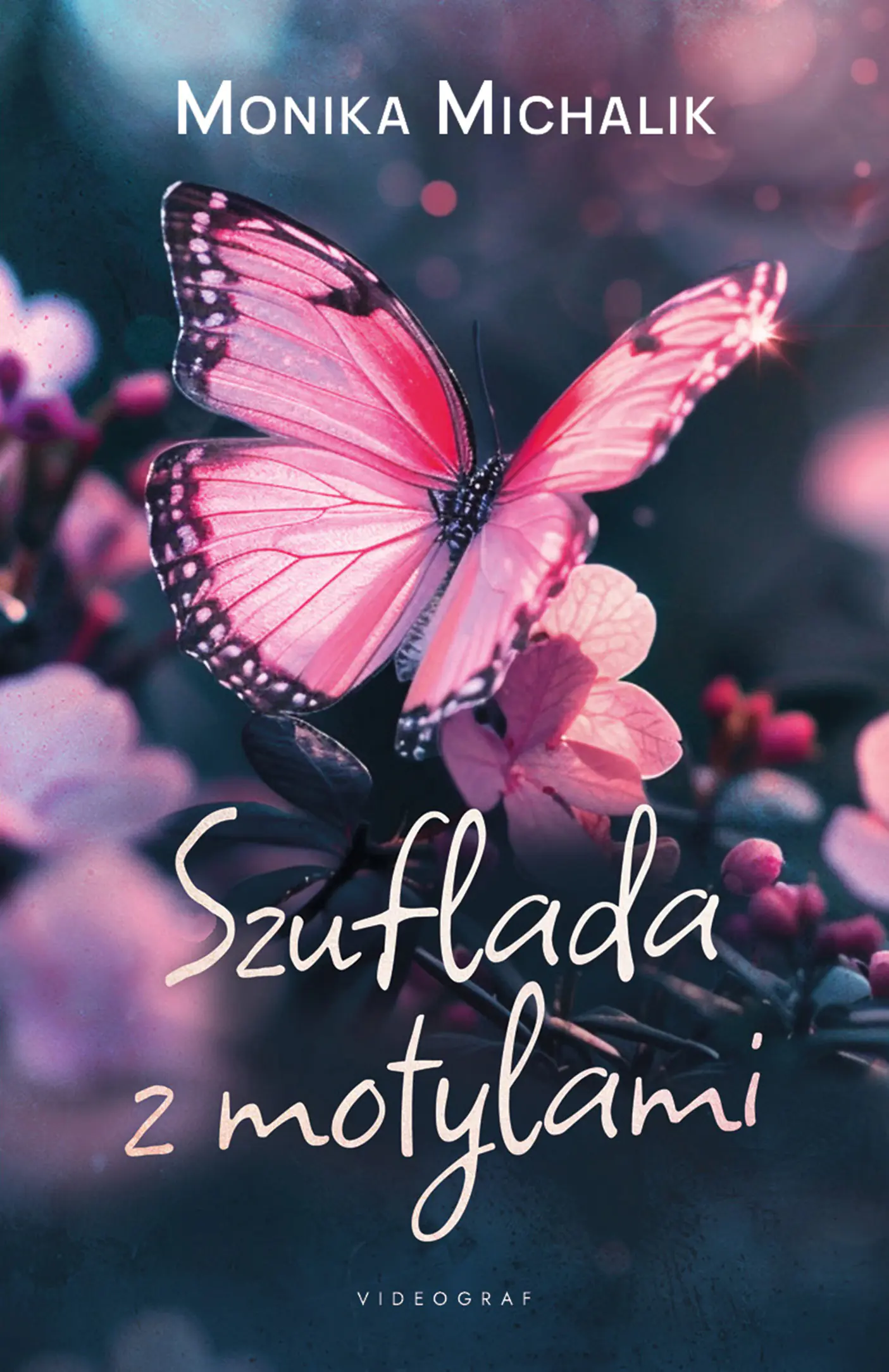 Książka - Szuflada z motylami