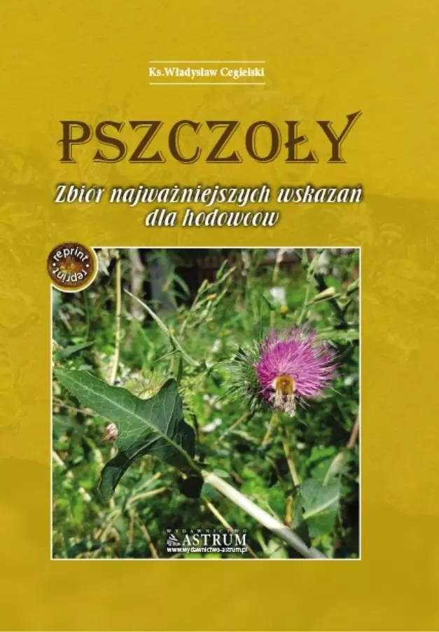 Książka - Pszczoły. Zbiór najważniejszych wskazań dla... A4