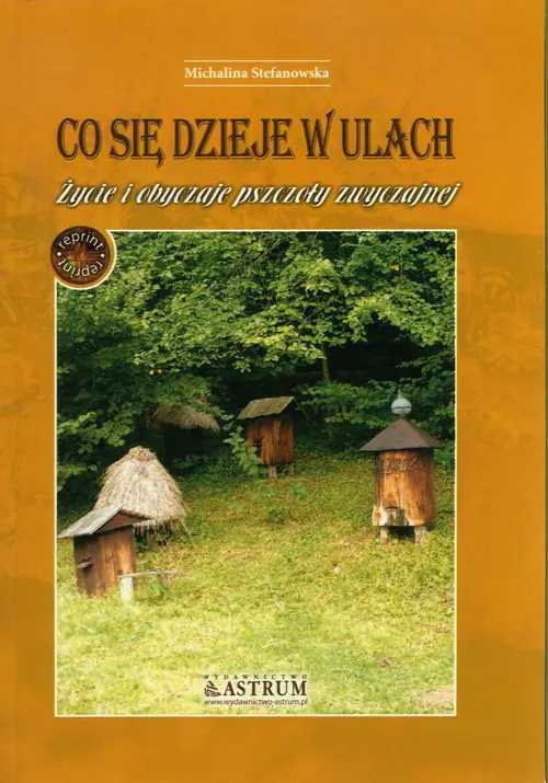 Książka - Co się dzieje w ulach
