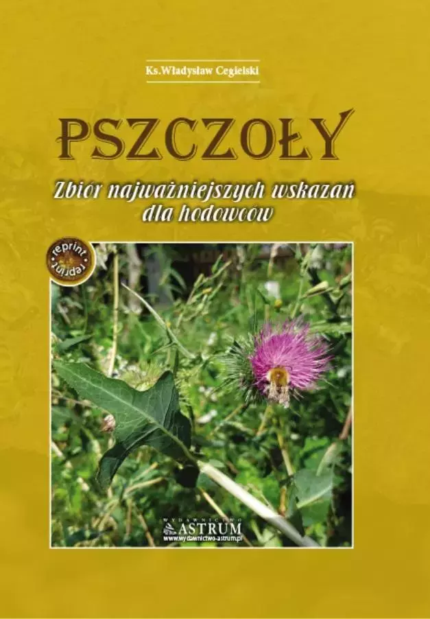 Książka - Pszczoły. Zbiór najważniejszych wskazań dla hodowców