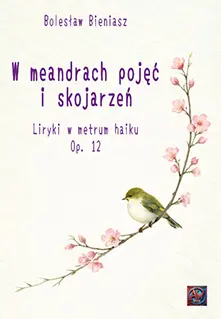 Książka - W meandrach pojęć i skojarzeń