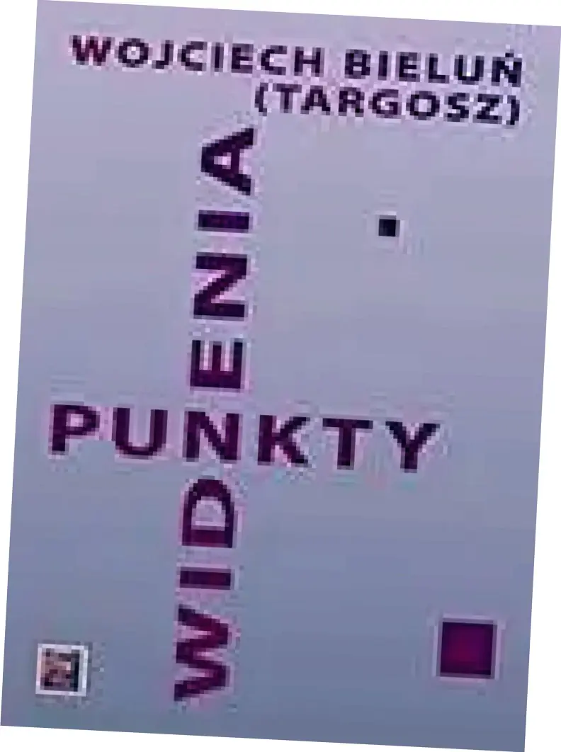 Książka - Punkt widzenia