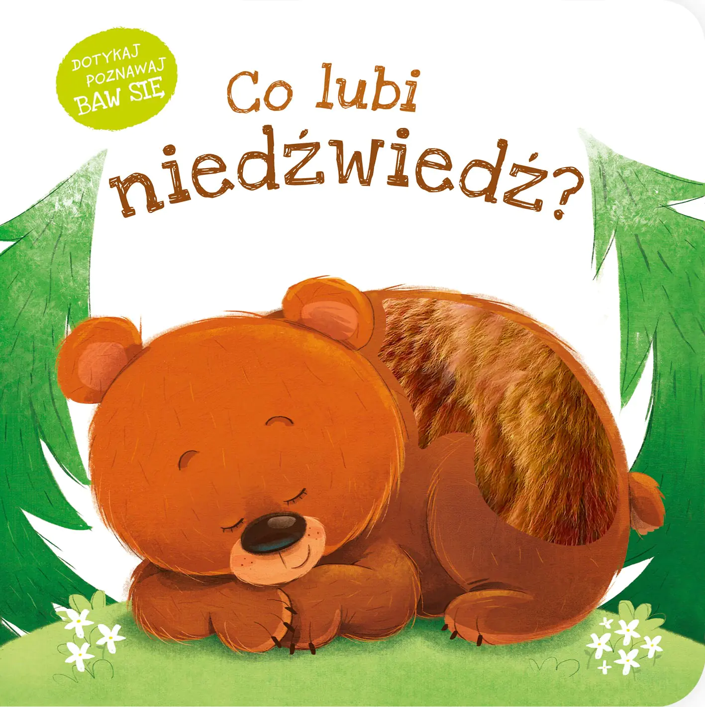 Książka - Co lubi niedźwiedź?