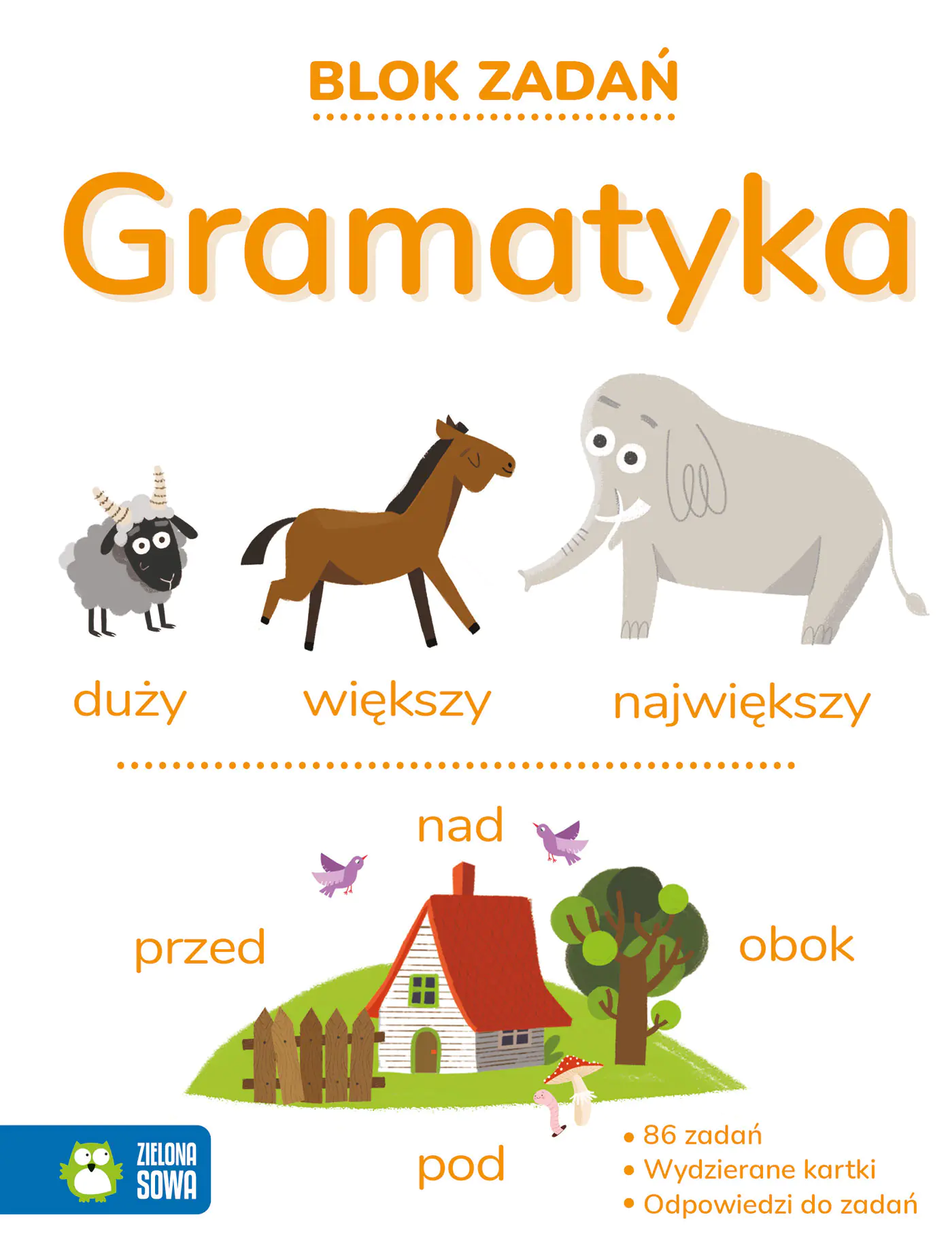 Książka - Gramatyka 9+. Blok zadań